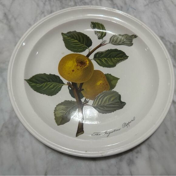 PORTMEIRION POMONA INGESTRIE PIPPIN 8 5/8" SALAD PLATE NEAR MINT V.RARE - Picture 1 of 3